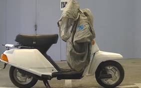 YAMAHA BELUGA 80 5G3