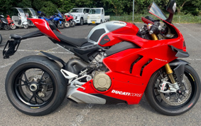 DUCATI PANIGA-REV4R 2019
