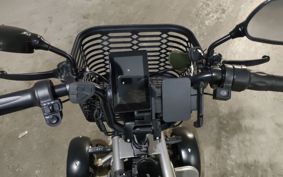 OTHER MINI BIKE ..