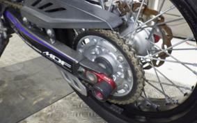 YAMAHA WR250X