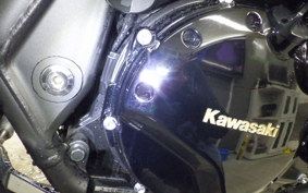 KAWASAKI ZRX1200 D 2021 ZRT20D