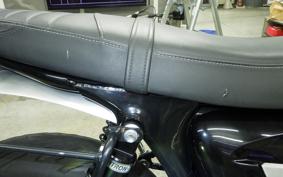 TRIUMPH SPEED TWIN 2020