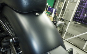 HARLEY XL883N 2014