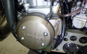 KAWASAKI KDX125 SR 2021 DX125A