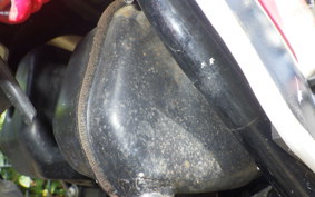 YAMAHA PW50 2023 4X4