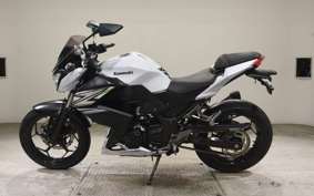 KAWASAKI Z250 2007 ER250C