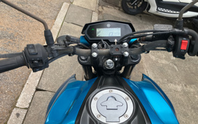 YAMAHA FZ25 RG42
