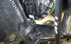 HARLEY FXBR1920 2024