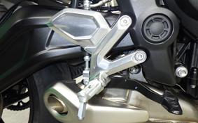 TRIUMPH TRIDENT 660 2024