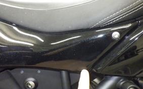KAWASAKI NINJA H2 SX SE 2021 ZXT02A