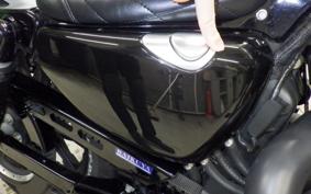HARLEY XL1200NS 2020