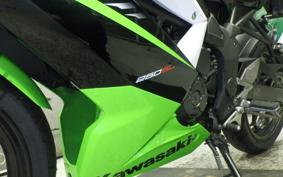 KAWASAKI NINJA 250 SL 2010 BX250A