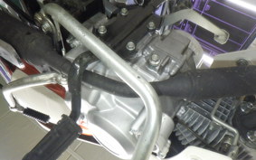 HONDA C110 SUPER CUB 2022 JA59