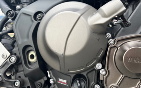 YAMAHA XSR900 2024 RN80J