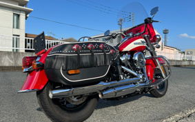 HARLEY FLI HYDRA-GLIDE 2024 BCK