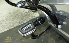 HARLEY FXBB1920 2025