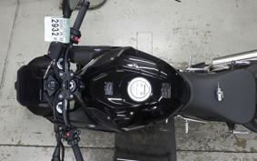 BMW S1000R 2025