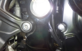 KAWASAKI Z900RS 2021 ZR900C