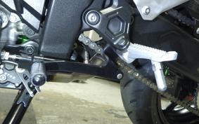 KAWASAKI ZX-4RR 2024 ZX400P