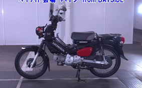 OTHER CROSS CUB 110-2