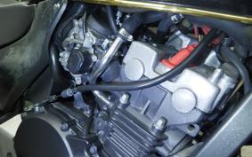 HONDA HORNET 250 2024 MC31