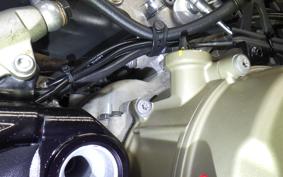 DUCATI PANIGALE V4 2025