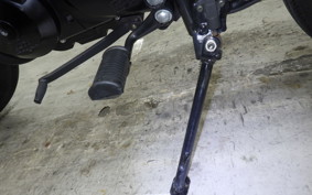 OTHER MUTT250 2025