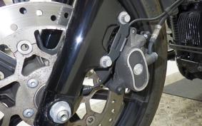 HARLEY XL1200NS 2020