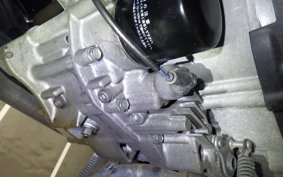 HONDA FAZE MF11