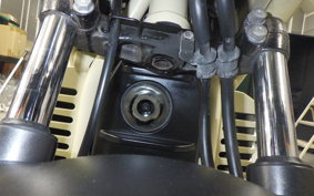 HONDA PS250 2009 MF09
