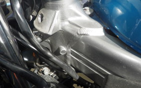 KAWASAKI ZZ-R250 EX250H