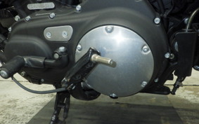 HARLEY XL883N 2016