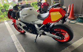 YAMAHA XSR900 GP 2024 RN96J