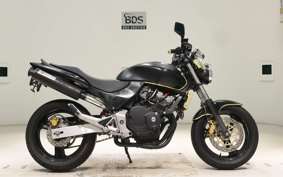 HONDA HORNET 250 2024 MC31