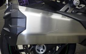 KAWASAKI NINJA 1000SX 2024 ZXT02K