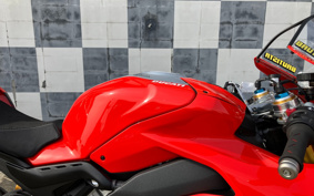 DUCATI PANIGA-REV4 2024 3D00
