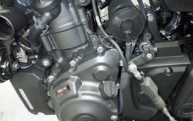 YAMAHA MT-07 2025 RM48J