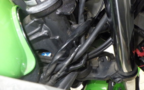 KAWASAKI NINJA 250 2018 EX250L