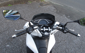 HONDA PCX 125 JF81