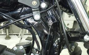 HARLEY XL1200NS 2020