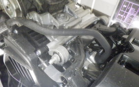 HONDA GIORNO 3 1986 AF77