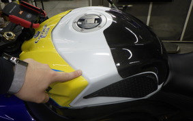 SUZUKI GSX-R1000 2010