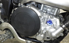 YAMAHA WR250X 2023 DG15J