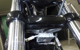 HARLEY XL1200NS 2020