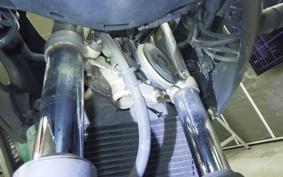 HONDA VTRF250 MC33