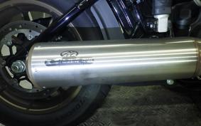 HARLEY FXLRS1920 2024