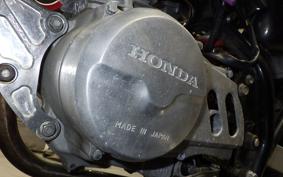 HONDA APE 50 2025 AC16