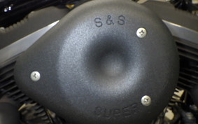 HARLEY XL1200N 2010