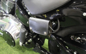 HARLEY FXBB 2025 YJ9