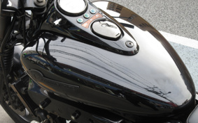 KAWASAKI ELIMINATOR 250V VN250A
